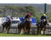  Carrera: P.Reltaj Monta: B.Fayos Caballo: Skimmia